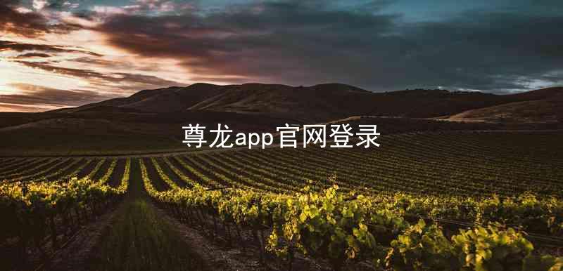 尊龙app官网登录